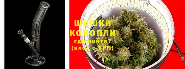 винт Инта