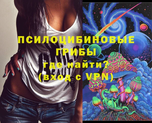 винт Инта