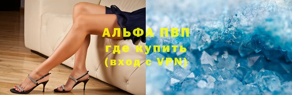 винт Инта