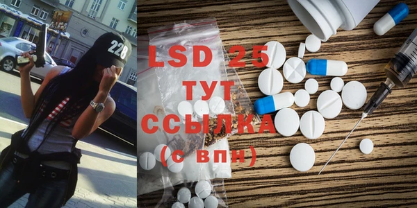 винт Инта