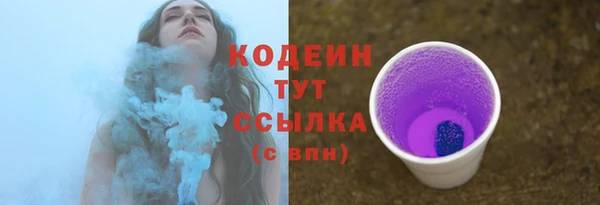 винт Инта